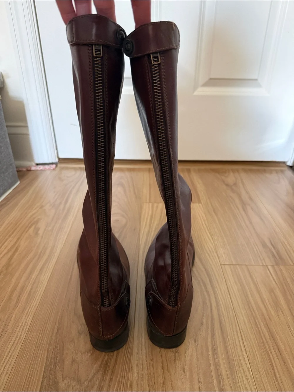 Frye Women's Tall Riding Boots in Burgundy / Dark Brown